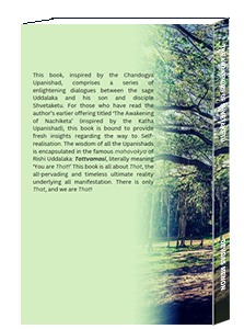 The Awakening of Shvetaketu