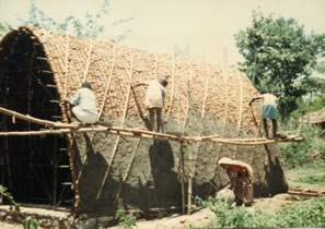 Coconut Shell House