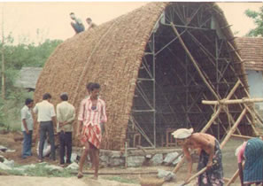 Coconut Shell House